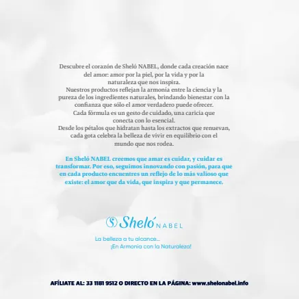 Vista previa de la página 2