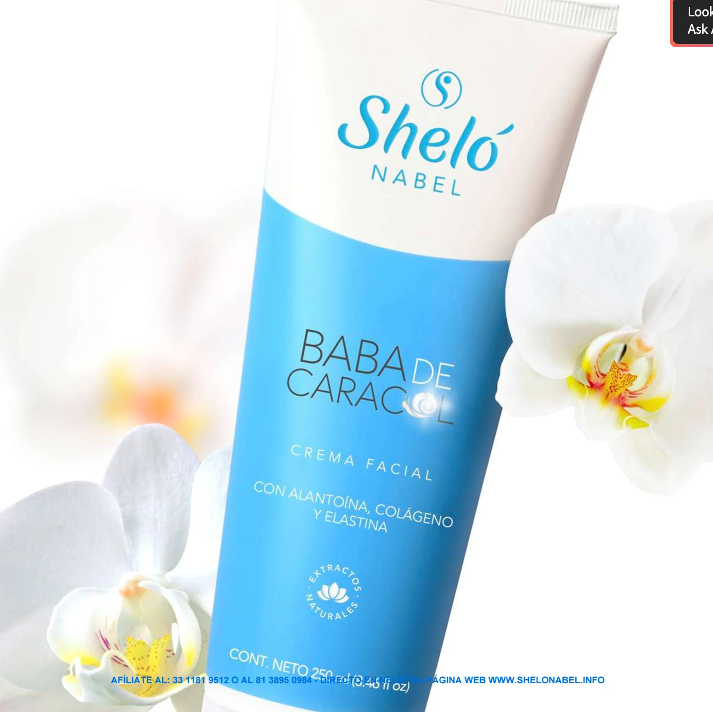 Catalogo Shelo Nabel 2025