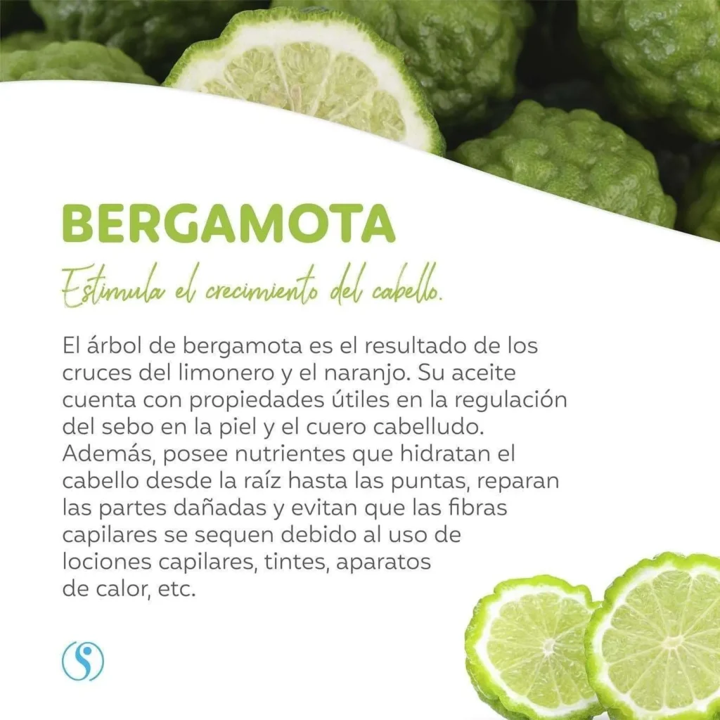 Shampoo De Bergamota Shelo Nabel Beneficios Featured.webp