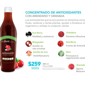 Concentrado De Antioxidantes Arandano Granada Shelo Nabel