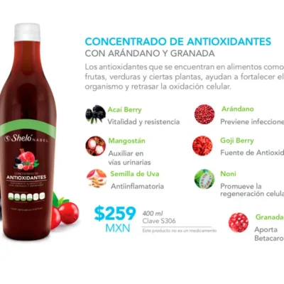 Concentrado De Antioxidantes Arandano Granada Shelo Nabel